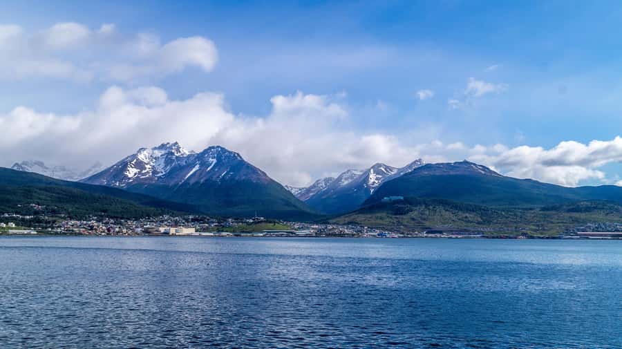 From Ushuaia: Penguin Watching Tour by Catamaran - Isla de los Lobos: where the sea lions are in permanent habitat