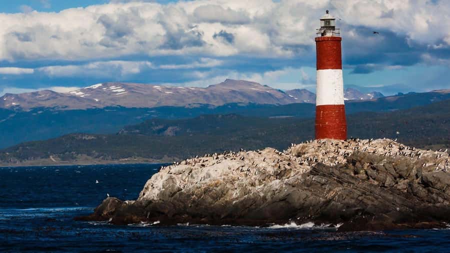 From Ushuaia: Penguin Watching Tour by Catamaran - The SS Monte Cervantes wreck: farthest point, strongest story beat