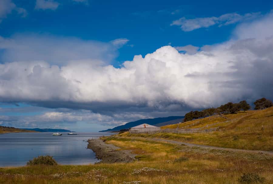 From Ushuaia: Penguin Watching Tour by Catamaran - Martillo Island penguins: timing, photos, and how to get the best view