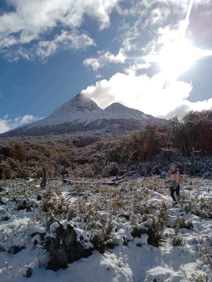 From Ushuaia: Tierra del Fuego Emerald Lagoon Trekking Tour - The walking route that feels like a real outing: 5 km and about 250 meters of unevenness