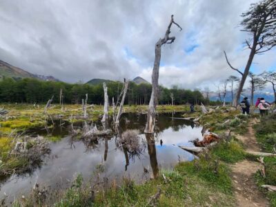 Tierra del Fuego Emerald Lagoon Trekking Tour