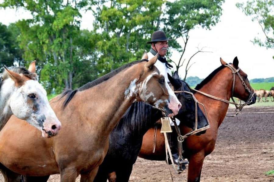 Full-Day at Santa Susana Ranch with BBQ, Drinks and Show - Who This Ranch Day Is Best For
