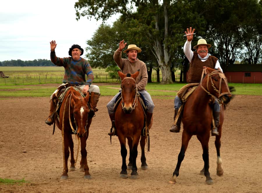 Full-Day at Santa Susana Ranch with BBQ, Drinks and Show - The Welcome Reception: Empanadas, Wine, and Getting Oriented