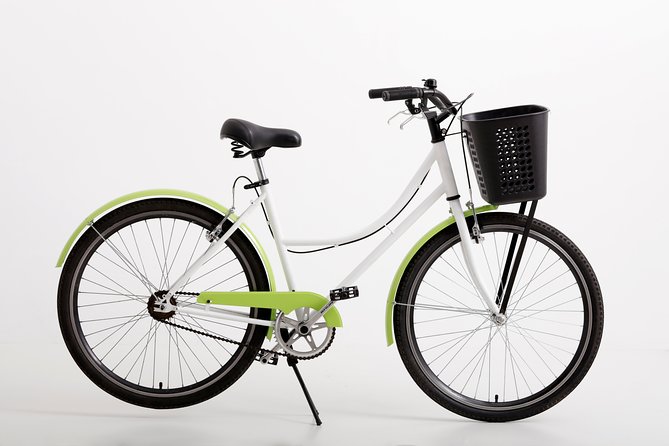 Full Day Bike Rental in Buenos Aires - What You Actually Get: Helmets, Locks, and Child Seats