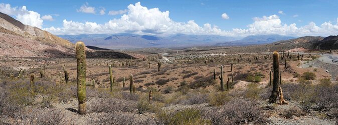 Full-day Cachi and Los Cardones National Park from Salta - Why this Salta day trip to Cachi and Los Cardones feels worth it