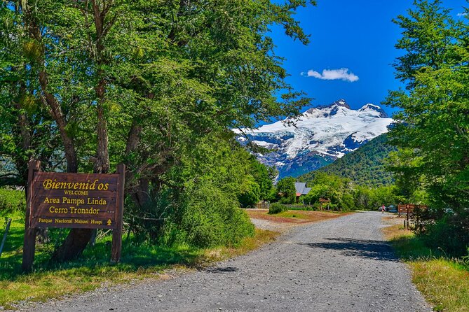 Full Day Cerro Tronador: Eternal Snow and Hanging Glaciers - Who this tour suits best