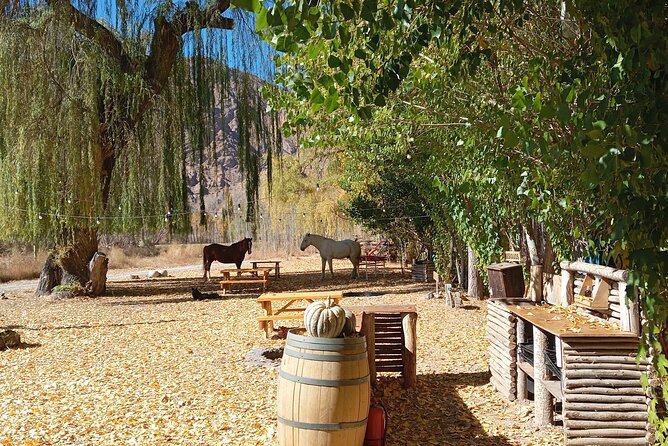 Full Day High Mountain Mendoza, Aconcagua and Inca Bridge Tour - Domos Uspallata Glamping de Montaña: Lunch in the Mountains