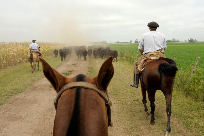 Full-Day Horseback Riding with Gauchos from Buenos Aires - Key Highlights You’ll Notice Right Away