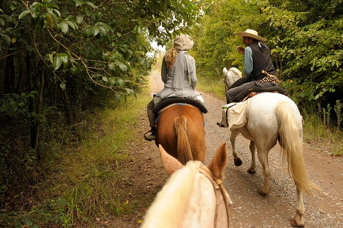 Full-Day Horseback Riding with Gauchos from Buenos Aires - The Two-Hour Mark and Lunch Around 1:00 pm