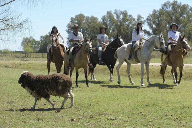 Full-Day Horseback Riding with Gauchos from Buenos Aires - Carlos Keen Town Time After 2:30 pm