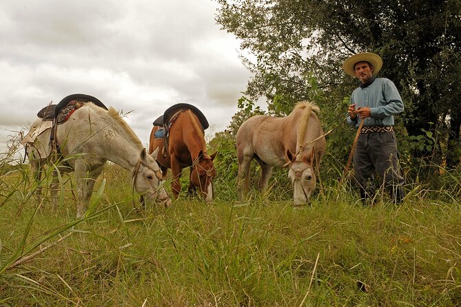 Full-Day Horseback Riding with Gauchos from Buenos Aires - Who This Buenos Aires Gaucho Ride Is For (and Who Should Skip It)