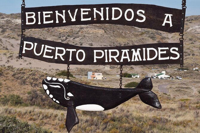 Full Day Peninsula Valdes Experience - optional Whale Watching - First stop at Centro De Visitantes Istmo Ameghino: gulf views and Birds Island