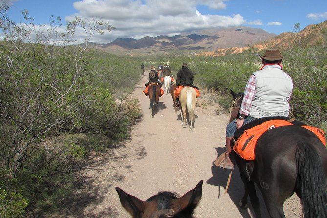 Full day ride at the foot of The Andes - How they match you to your horse, and what that means for beginners