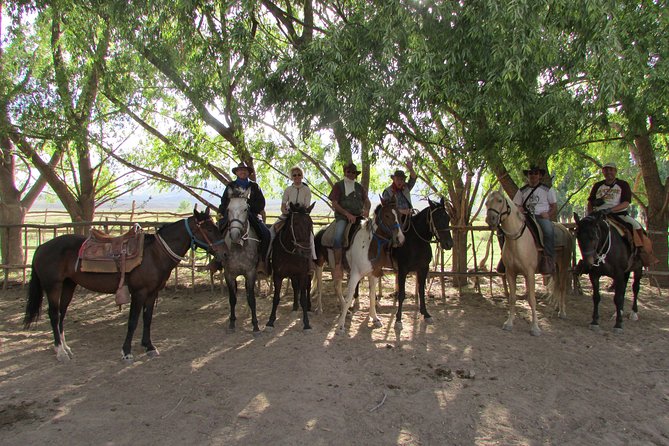 Full day ride at the foot of The Andes - Price and value for your Mendoza day