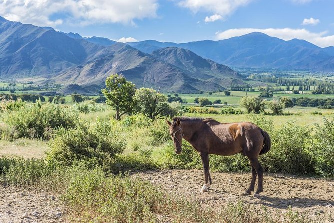 Full-Day Tour Cafayate Calchaqui Valleys with Wine - Highlights you should care about