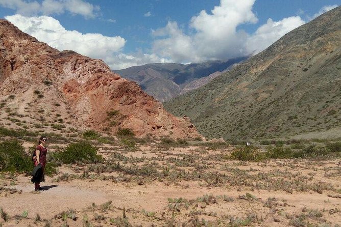 Full-Day Tour Salinas Grandes and Purmamarca from Salta - Purmamarca market time and lunch on your own