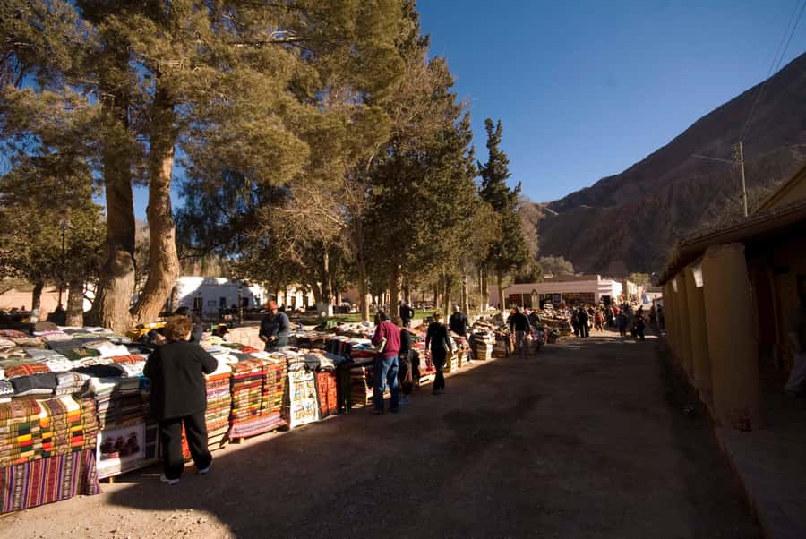 Full-Day Tour to Humahuaca from Salta - El Valle Encantado and the Color Shift as You Leave the Subtropical Valleys