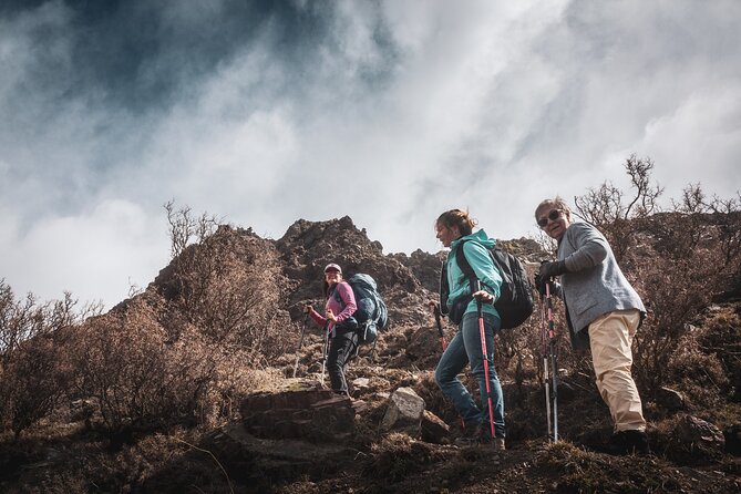 Full day trekking & Barbecue local experience - Andes Views Plus a Real Asado, Starting From Mendoza