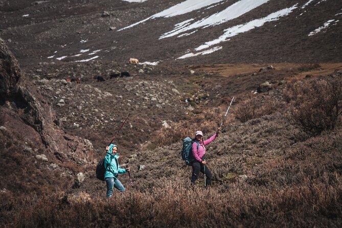 Full day trekking & Barbecue local experience - What to Bring, and Who This Trip Fits Best
