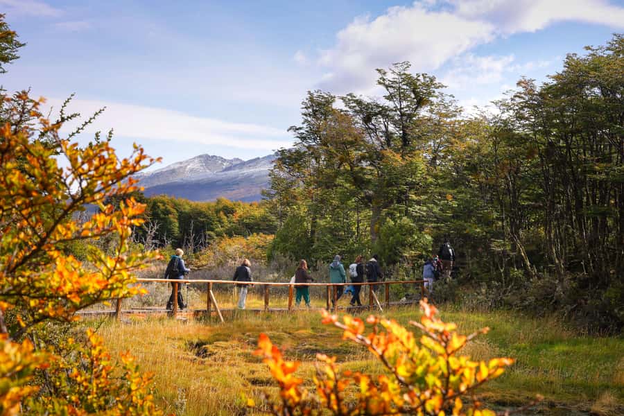 Full Day Trip to Tierra del Fuego National Park - Key things that make this trip worth your time