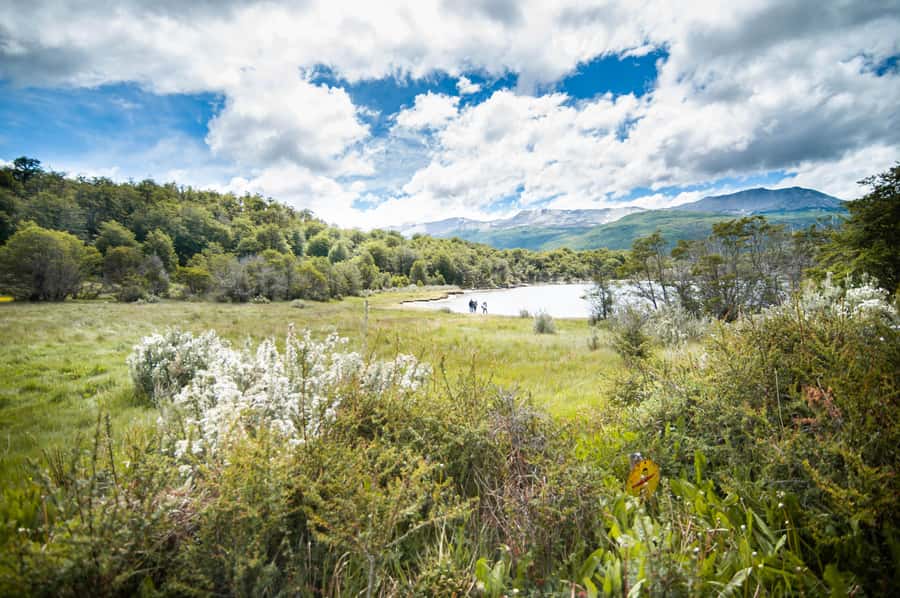 Full Day Trip to Tierra del Fuego National Park - Entering Tierra del Fuego with the right expectations