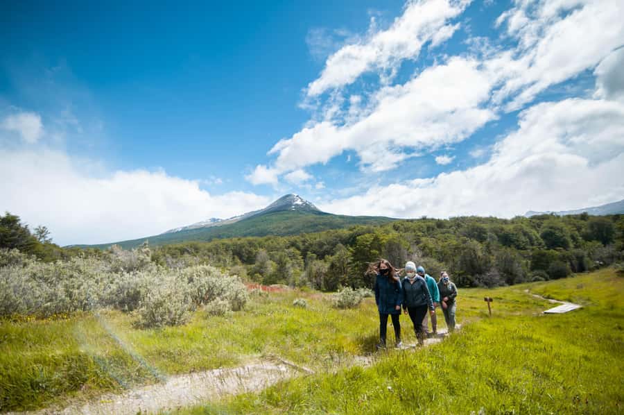 Full Day Trip to Tierra del Fuego National Park - Pampa Alta and the Ensenada loop, where the walking pays off