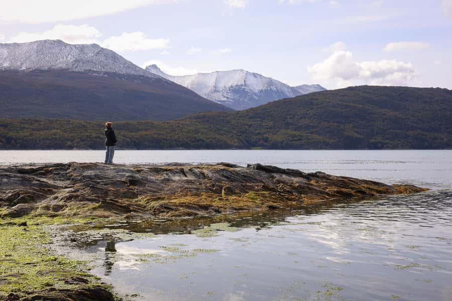 Full Day Trip to Tierra del Fuego National Park - The water, birds, and silence moments you should not skip