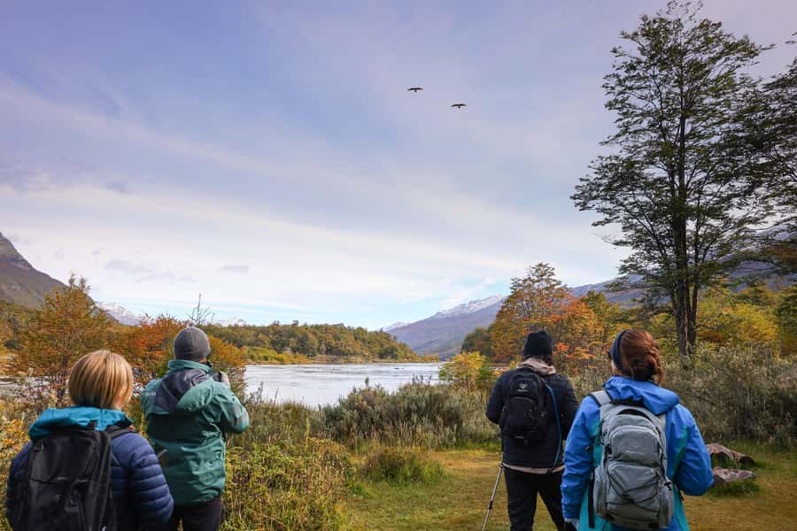 Full Day Trip to Tierra del Fuego National Park - End of the World Train Station, optional and photo-focused