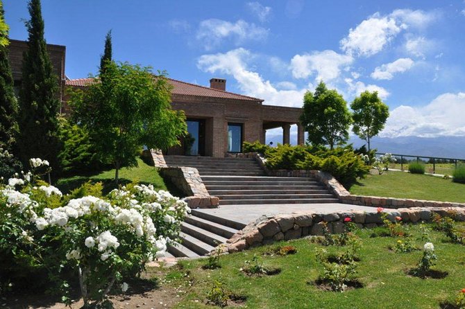 Full day Uco Valley Wine Experience with Salentein - The Uco Valley loop that saves you from Mendoza driving