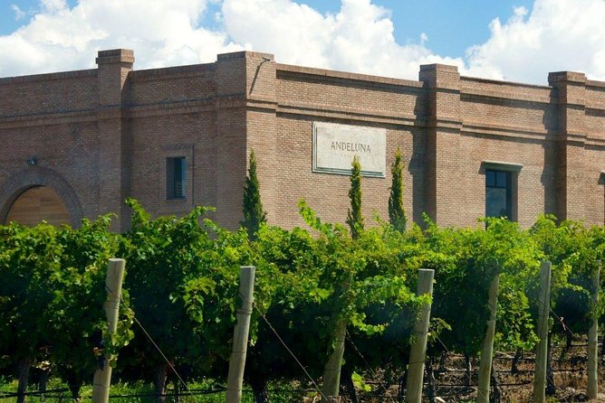 Full day Uco Valley Wine Experience with Salentein - Michelini i Mufatto: family business and three terroirs