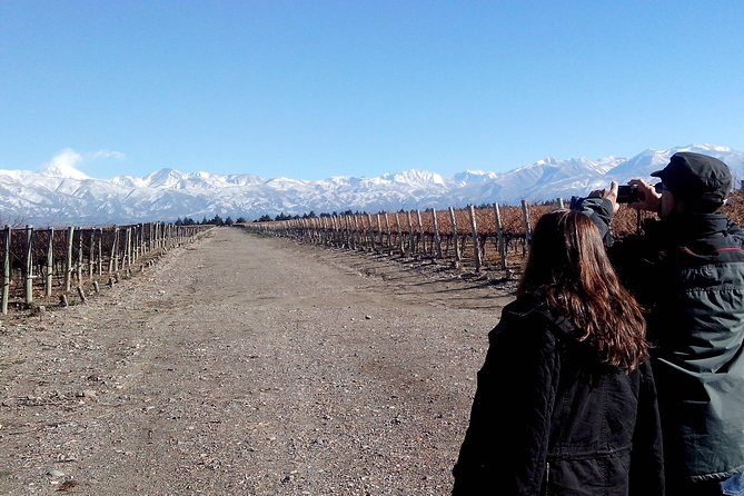Full day Uco Valley Wine Experience with Salentein - Why the bilingual guide and small group matter for real tasting