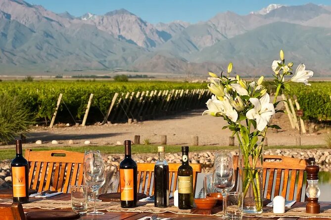 Full Day Wineries in Maipu and Lujan : 2/3 Wineries + 1 Olive Tree - Key things to know before you go