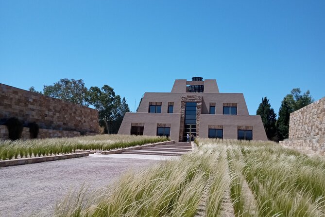 Full Day Wineries in Maipu and Lujan : 2/3 Wineries + 1 Olive Tree - Best fit: who this private tour suits best
