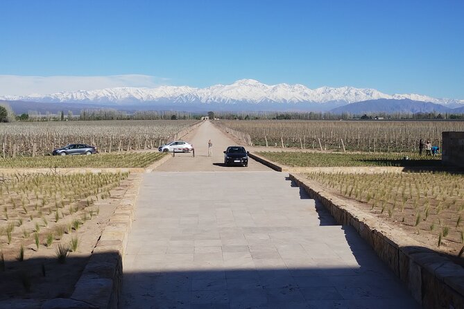 Full Day Wineries in Maipu and Lujan : 2/3 Wineries + 1 Olive Tree - How the day runs, from Mendoza pickup to winery returns