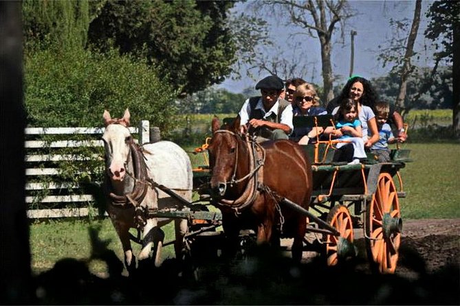 Gaucho Day Tour Don Silvano Estancia From Buenos Aires - Getting there from Buenos Aires: 9:00 am start and transfer time