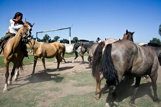 Gaucho Day Tour Don Silvano Estancia From Buenos Aires - Food, wine, and the real-life ranch stuff: mosquitoes and heat