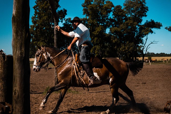 Gaucho Day Trip from Buenos Aires: Santa Susana Ranch - Entering Estancia Santa Susana: empanadas, museum and chapel time