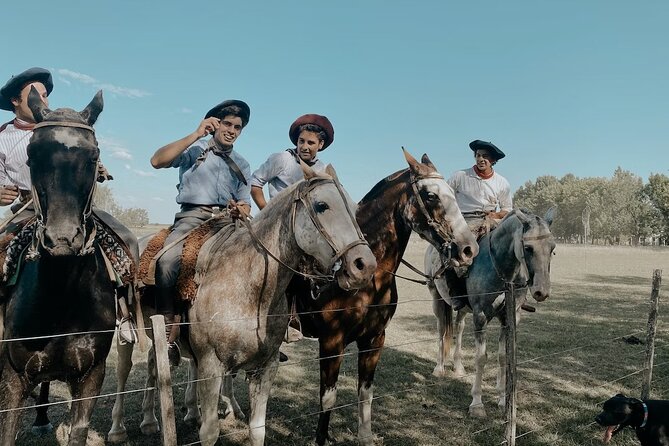 Gaucho Experience: A Day Trip to Don Silvano Ranch - Getting Out of Buenos Aires: Pampas Coach Time and What to Expect