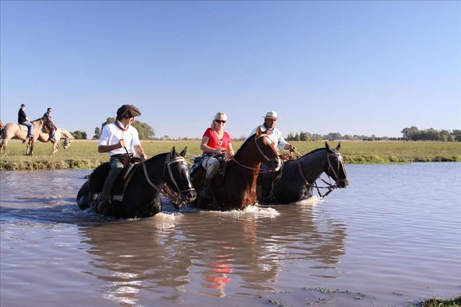 Gaucho Small-Group Full Day at a Farm in Buenos Aires - Hotel pickup and the drive that sets your expectations