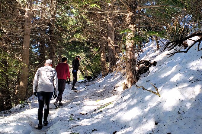 GERMAN TREKKING TO BERGHOF - Mountain stories - How the return works when your legs are ready or not