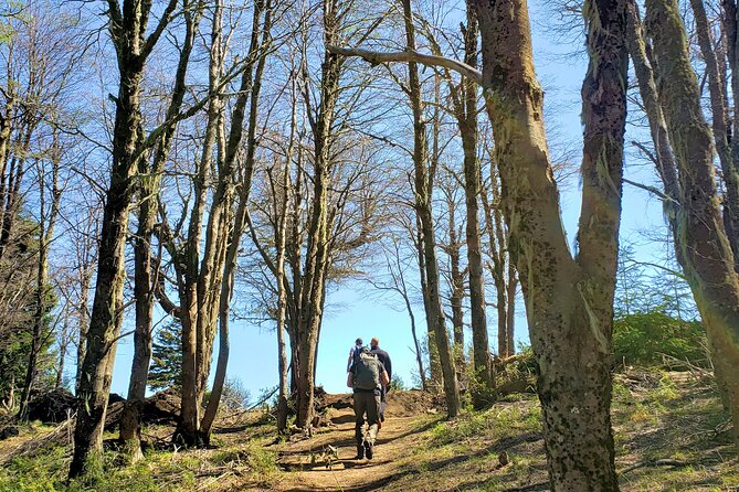 GERMAN TREKKING TO BERGHOF - Mountain stories - Price and value: what $66.50 buys you in real experience