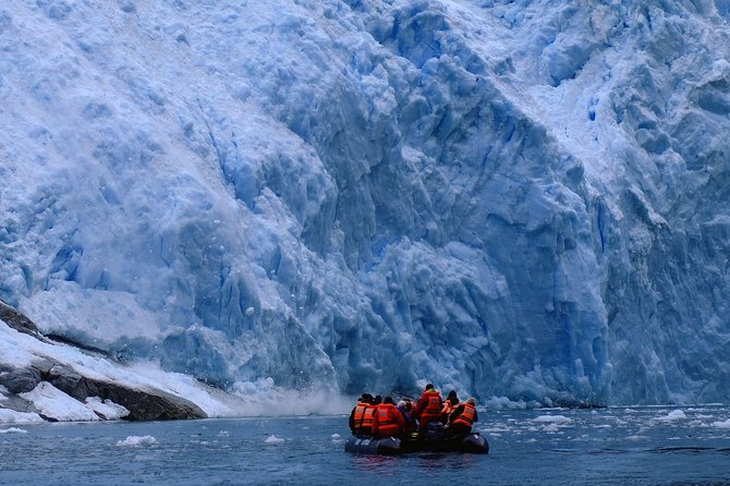 Glacial Cruise: Expedition from Ushuaia to Punta Arenas - Stella Australis Style: Food, Drinks, And Expedition Realities
