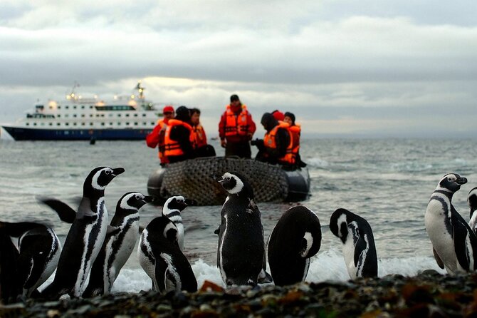 Glacial Cruise: Expedition from Ushuaia to Punta Arenas - Day 3: Pia Glacier, Garibaldi Glacier, And The Steep-Hike Test