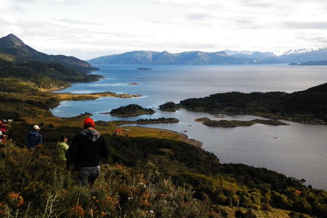 Glacial Cruise: Expedition from Ushuaia to Punta Arenas - Day 4: De Agostini Sound And Aguila Glacier, With A Softer Walk Option