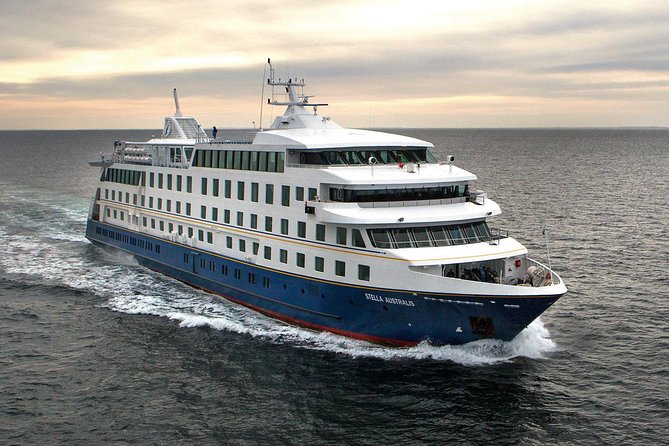 Glacial Cruise: Expedition from Ushuaia to Punta Arenas - Day 5: Isla Magdalena Penguins, Then Off To Punta Arenas