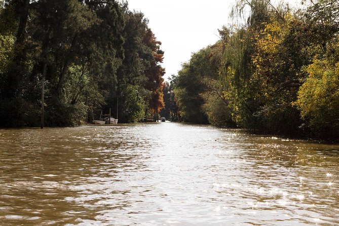 Guided Kayak Tour in Buenos Aires. - Kayak the Tigre Delta at a Relaxed Pace