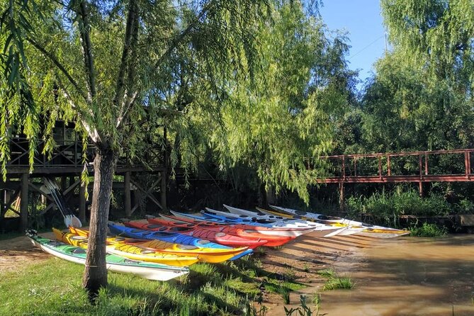 Guided Kayak Tour in Buenos Aires. - The Island Stop: Cold Drink Break and More Than Just a Photo Op