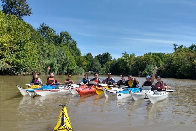 Guided Kayak Tour in Buenos Aires. - Price and Value: Is $95 Worth a Half-Day in the Delta?