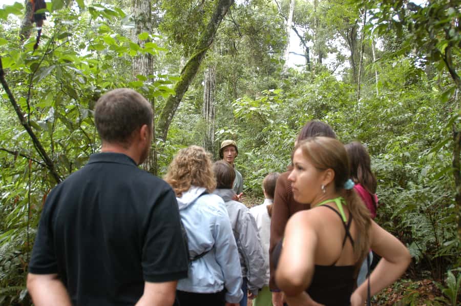 Half-Day Iguazú Forest Adventure - The jungle arrival: gear up with Spanish-speaking guidance