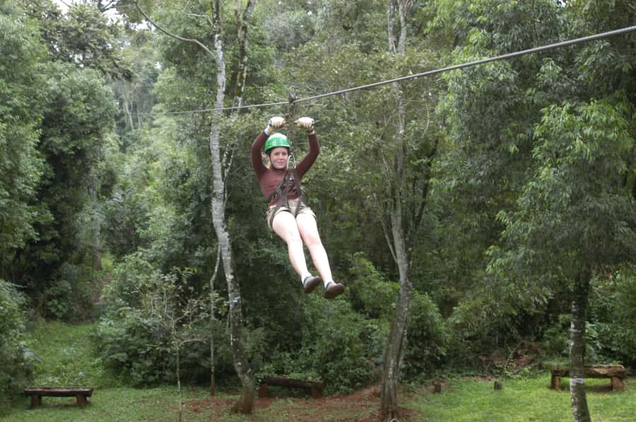 Half-Day Iguazú Forest Adventure - Who this half-day tour suits best (and who should pass)